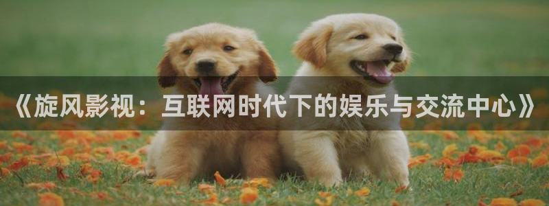 藍(lán)莓視頻在線免費(fèi)觀看：《旋風(fēng)影視：互聯(lián)網(wǎng)時(shí)代下的娛樂與交流中心》