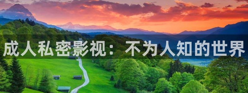 藍莓tv.：成人私密影視：不為人知的世界