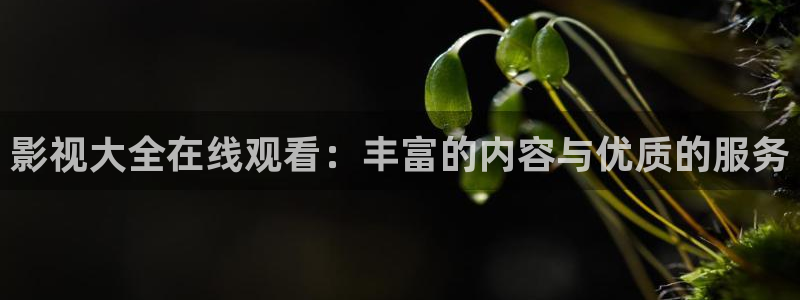 藍莓視頻怎么下載：影視大全在線觀看：豐富的內(nèi)容與優(yōu)質(zhì)的服務(wù)