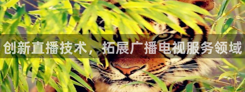 在線藍莓免費：創(chuàng)新直播技術，拓展廣播電視服務領域