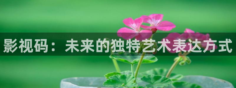 藍莓影視網(wǎng)站：影視碼：未來的獨特藝術表達方式