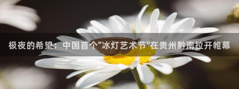 藍莓視頻網(wǎng)站.：極夜的希望：中國首個\